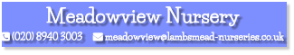 Meadowview Nursery  (020) 8940 3003      meadowview@lambsmead-nurseries.co.uk